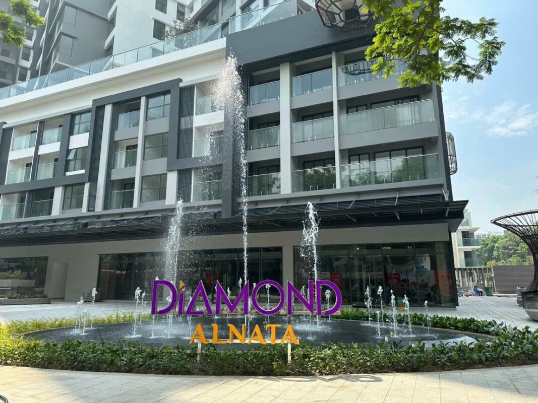 Diamond Alnata - Ảnh 2